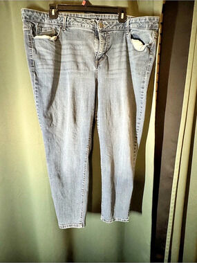 Sears Image Petite Classic Skinny Jeans Medium Wash Plus Size 24W
